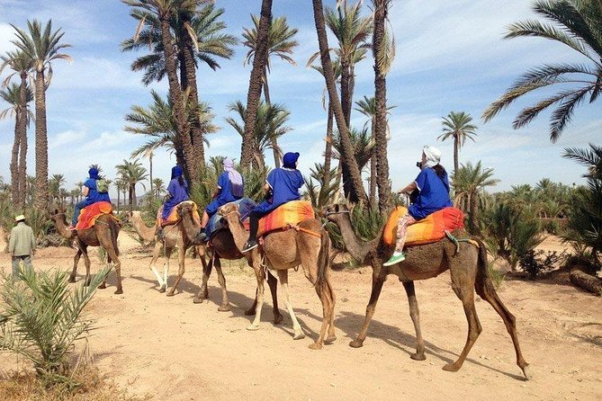 ATV Quad biking in Marrakech desert palmgrove - Palmeraie Stop: Palm Groves, Sand Tracks, and Berber Mint Tea