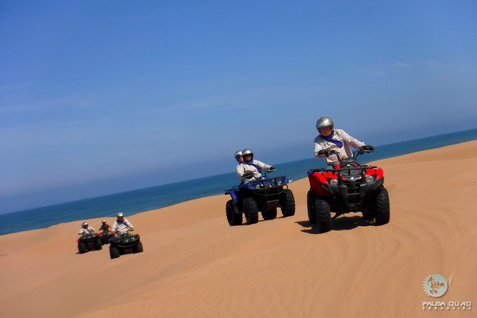 Big Cap Sim dunes and forest 3 hours tour. - Price and Value: Is $74.15 for 3 Hours a Good Deal?