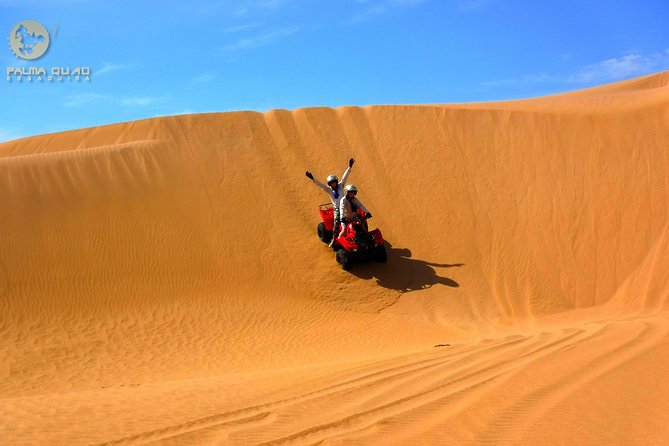 Big dunes and atlantic coast tour 2 HOURS - Key Things You Get on the Ride (and Why They Matter)