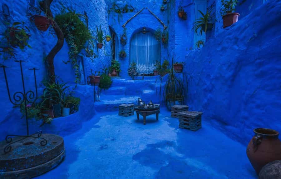 Blue City magic: Affordable Day Trip from Fez to Chefchaouen - Return drive to Fez, plus your last chance to think back
