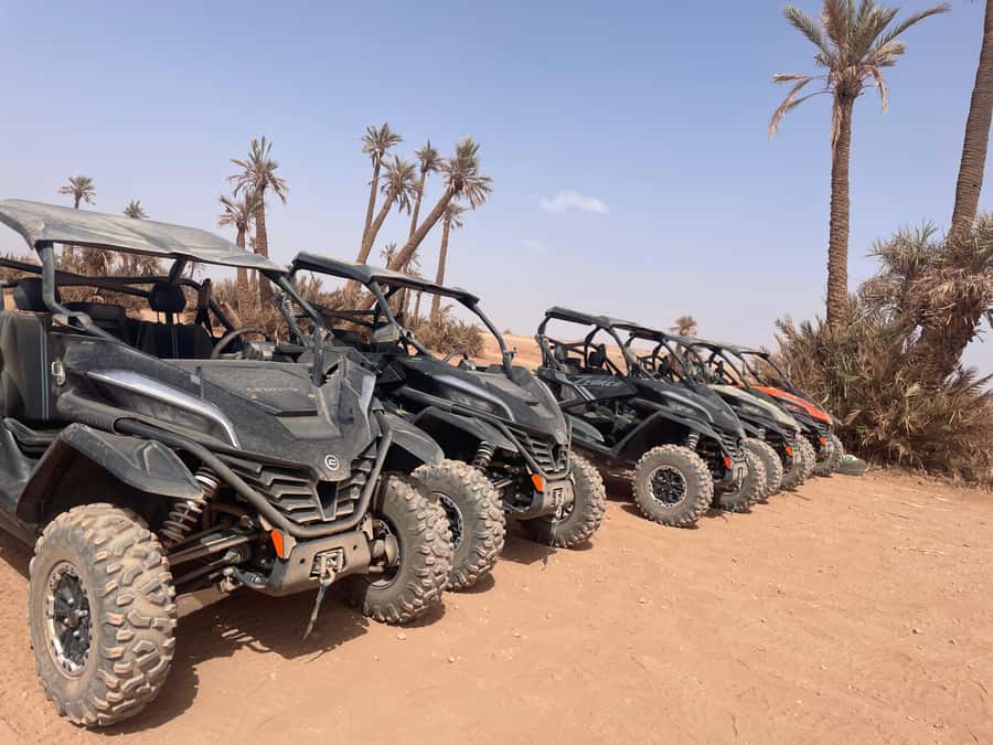 Buggy 1000 cc Adventure in Marrakech Desert - Who should book this Marrakech 1000cc adventure, and who should think twice