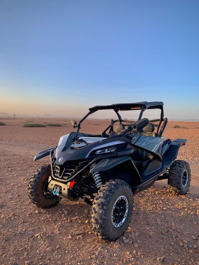 Buggy Marrakech Desert and Palmerie - Quick Take
