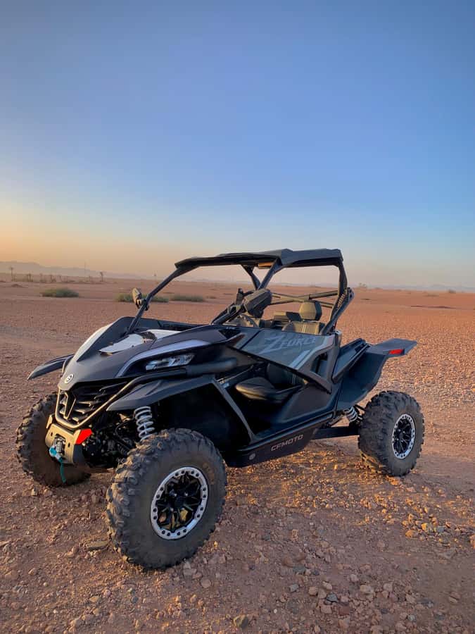 Buggy Marrakech Desert and Palmerie - Marrakech Desert Buggy and Palmerie: What Makes This Tour Worth Your Time