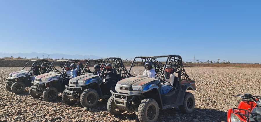 Buggy ride at the Palm Grove and Desert with swimming pool - Key highlights you will feel right away