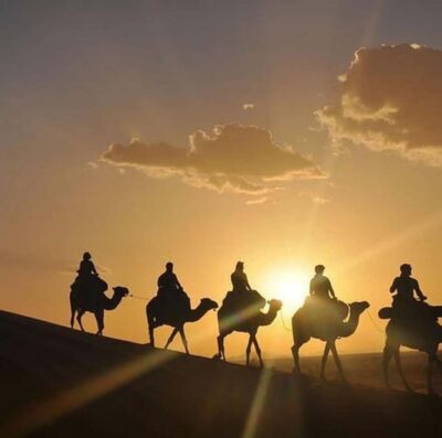 Buggy ride with camels and dinner show in agafay desert