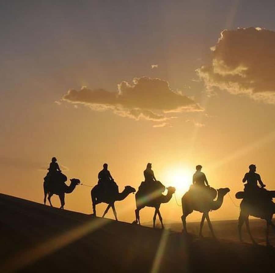 Buggy ride with camels and dinner show in agafay desert - Getting there from Marrakech: 40 minutes each way in AC comfort