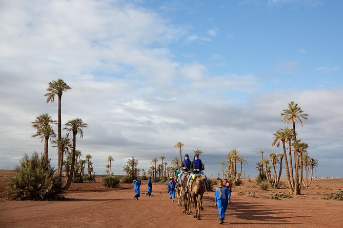 Camel and Quad Biking Tour from Marrakech - Camelback in the Open Desert: What You Actually Get