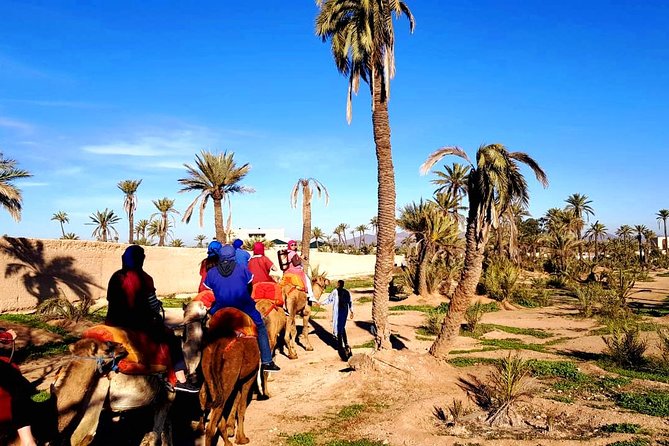 Camel Ride and Spa Treatment in Marrakech - Hotel Pickup and Air-Conditioned Transport You Will Appreciate
