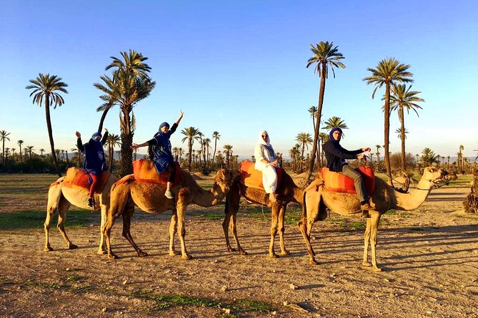 Camel Ride and Spa Treatment in Marrakech - Palmeraie Camel Ride: 1 Hour Through Palms and Berber Villages