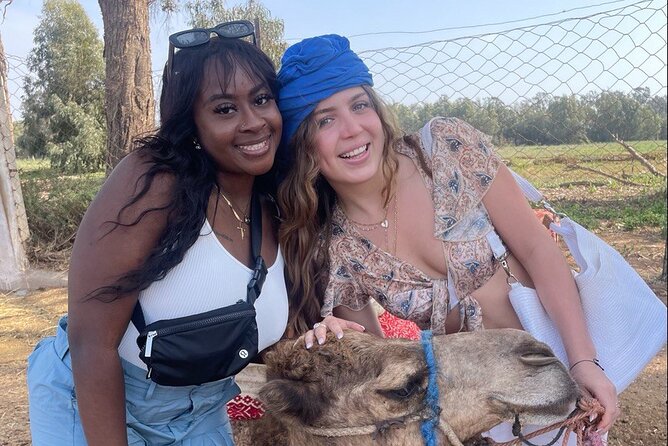 Camel ride in agadir at sunset with barbecue and couscous - Key highlights at a glance
