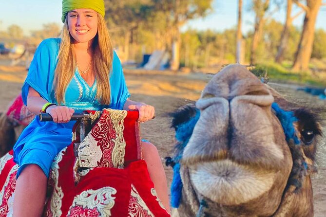 Camel ride in agadir at sunset with barbecue and couscous - Riding the Agadir dunes at sunset: what you should expect