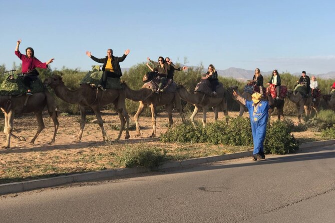 Camel ride in agadir at sunset with barbecue and couscous - Comfort tips that make the difference on camelback