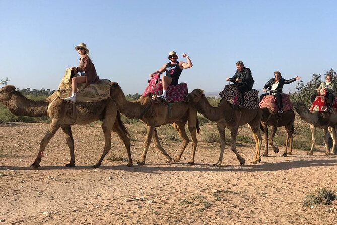 Camel ride in agadir at sunset with barbecue and couscous - Guides, atmosphere, and what you gain from the people factor