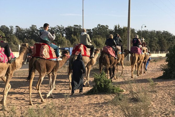 Camel ride in agadir at sunset with barbecue and couscous - Price and value: is $34.89 a smart buy?