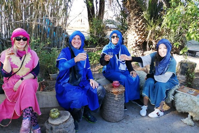 Camel Ride in Marrakech with Hotel-Pick up and Drop-off Included - Getting There Smoothly: Hotel Pickup, Air-Conditioned Transport, and Timing