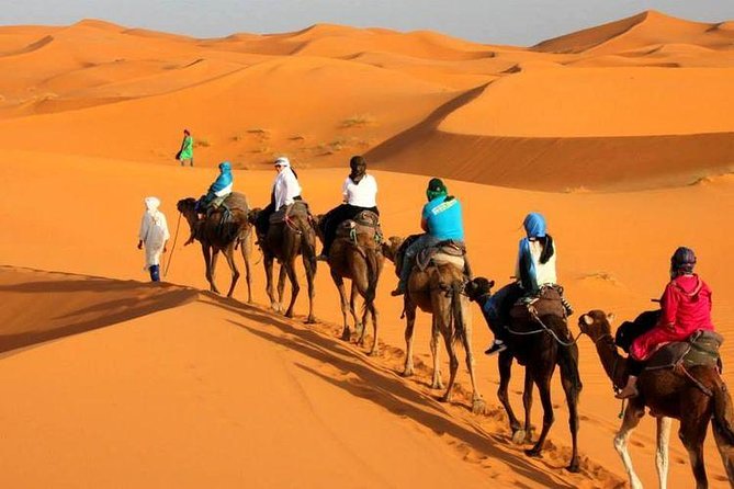 Camel ride in Tanger - Getting to Plage de Tanger: panoramic views and the camel start point