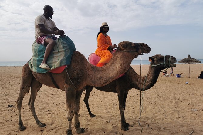 Camel ride in Tanger - 30-minute camel ride on the Atlantic: what it’s like in real life