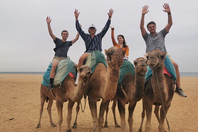Camel ride in Tanger - Price and value for $40.55: what you actually pay for