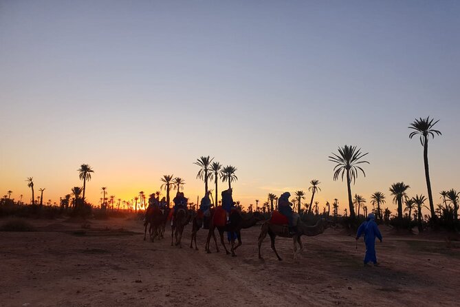 Camel ride Marrakech - Why this Marrakech camel ride works (sunset and tea, not just a novelty)