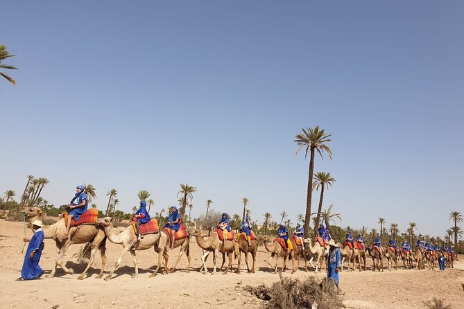 Camel ride Marrakech - Guides and photo stops: Mohammed, Khalid, Alibaba, and the small talk that helps