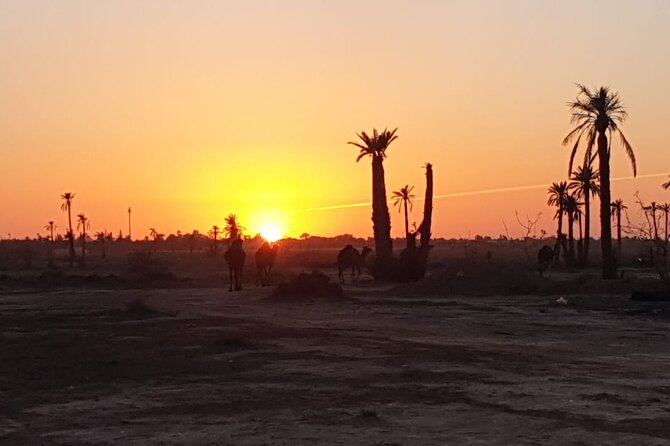 Camel ride Marrakech - Traditional outfits and the tea tent: where the cultural vibe actually lands