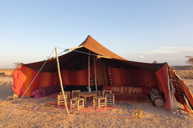 Camel ride Marrakech - Who should book this and who should pass