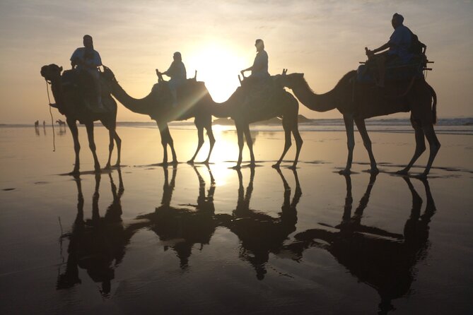 Camel ride or quad bike ride.. pick up, drop off. including - How the camel ride actually feels, plus photo help from your guide