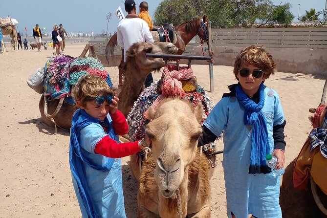 Camel ride or quad bike ride.. pick up, drop off. including - Pricing at $22.10: when this is good value in Essaouira