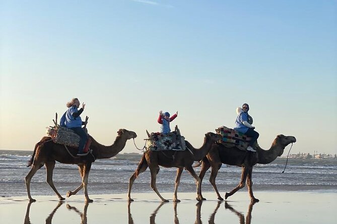 Camel ride or quad bike ride.. pick up, drop off. including - Who this tour fits best in Essaouira