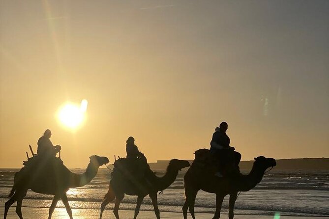 Camel ride or quad bike ride.. pick up, drop off. including - Should you book this camel ride with Diana Dromadaires?