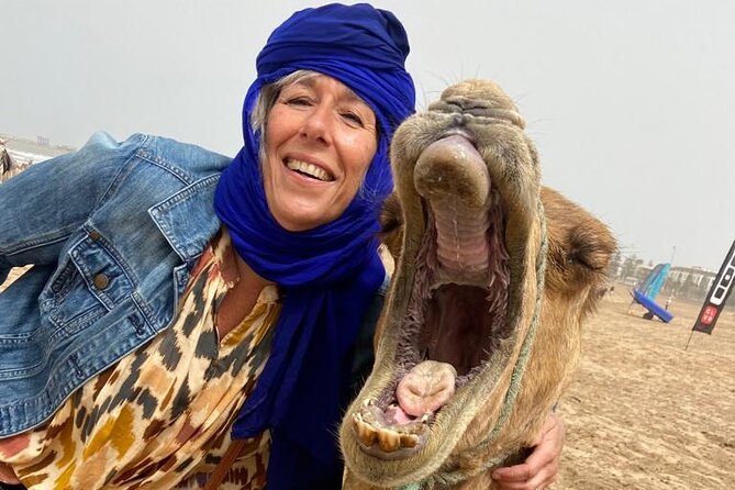 Camel ride or quad bike ride.. pick up, drop off. including - Oued Ksob river and birdwatching by the Atlantic beach