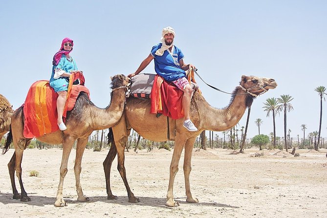 Camel Trek Around Marrakech Palmeraie - Photos, Guides, and the Tip Question You Will Actually Have