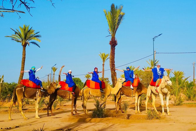 Camel Trek Around Marrakech Palmeraie - A Quick Reality Check: Short Ride, Near Town, Not a Full Desert Trek