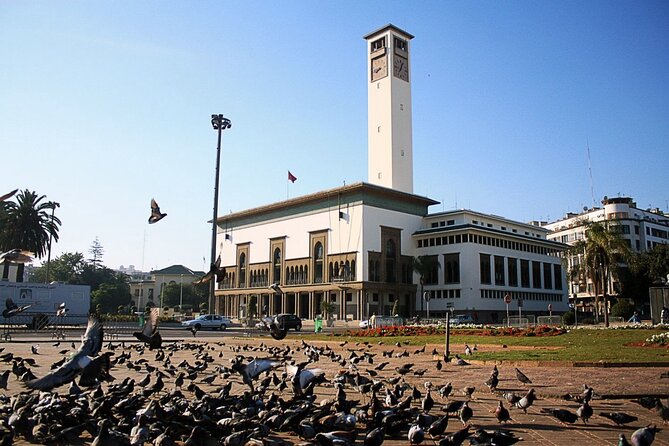Casablanca Airport Layover Tour with Return to Airport or Hotel Dropoff - Marché Central Casablanca and Ain Diab Corniche for Local Color and Sea Air