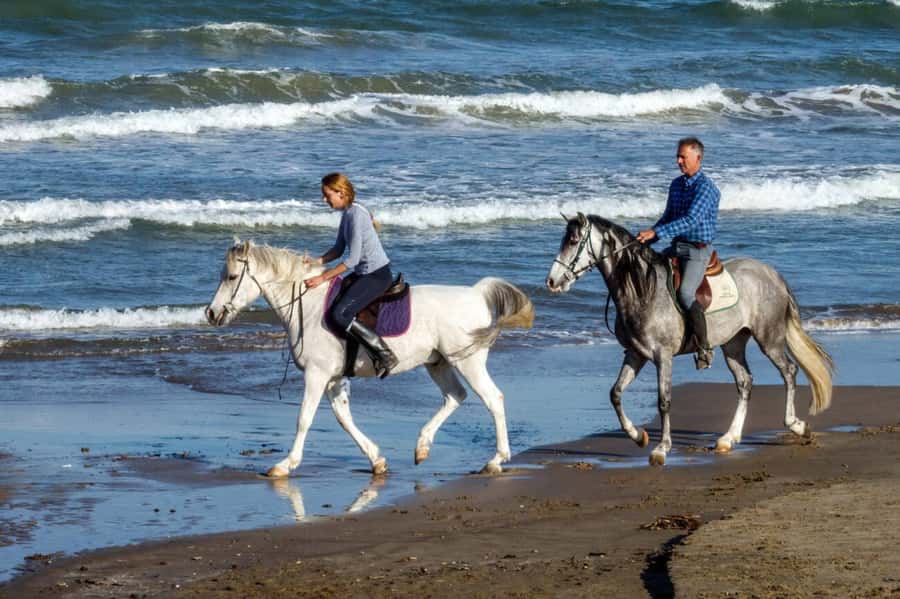 Casablanca: Beach Horseback Riding with Hotel Transfers - Key highlights that matter before you go