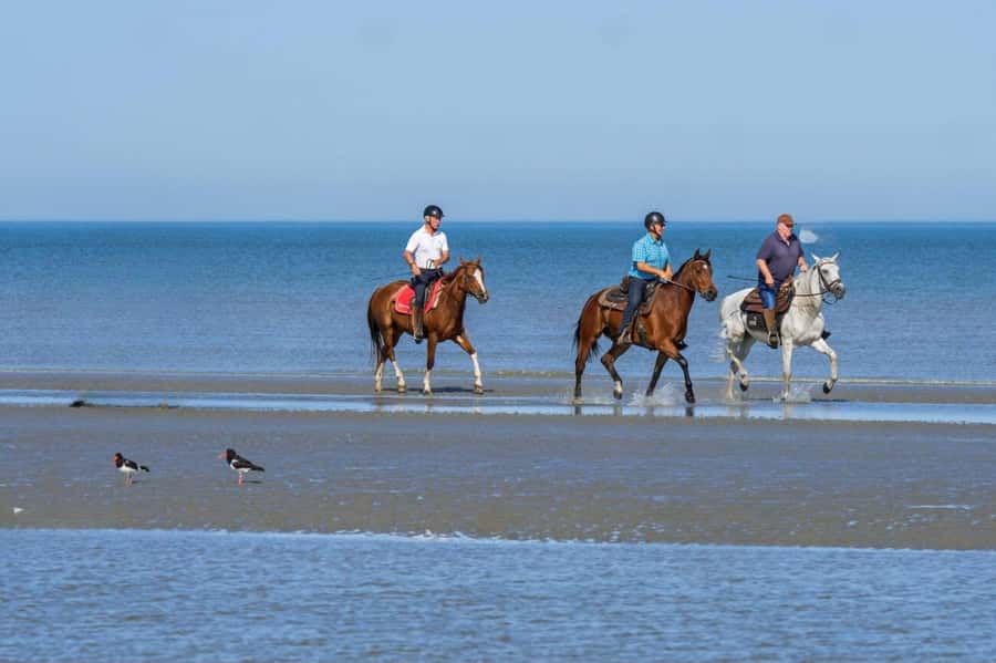 Casablanca: Beach Horseback Riding with Hotel Transfers - The Atlantic Beach Feel, Beach or Forest Options, and Why Timing Matters