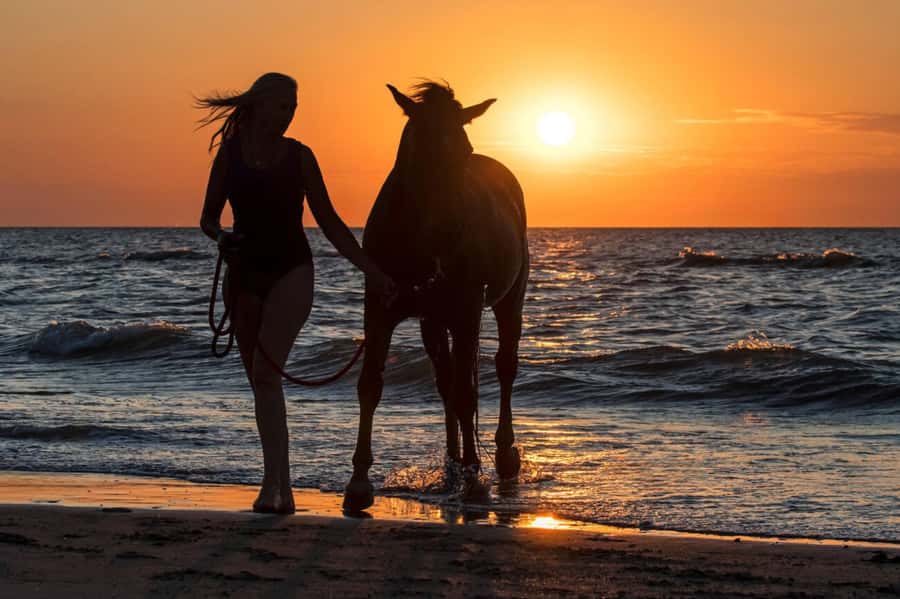 Casablanca: Beach Horseback Riding with Hotel Transfers - One Hour on Horseback: What Beginner-Friendly Really Looks Like