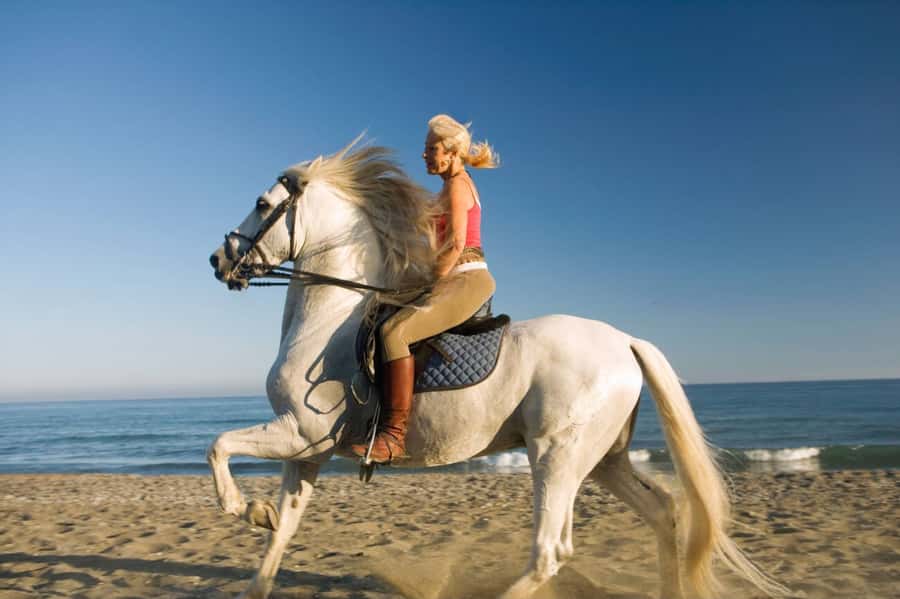 Casablanca: Beach Horseback Riding with Hotel Transfers - Sunset-Worthy Views and the Reality of Beach Conditions