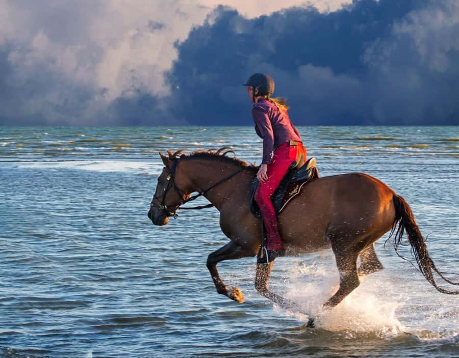 Casablanca: Beach Horseback Riding with Hotel Transfers - Guides Who Keep You Safe and Looking Good on Camera