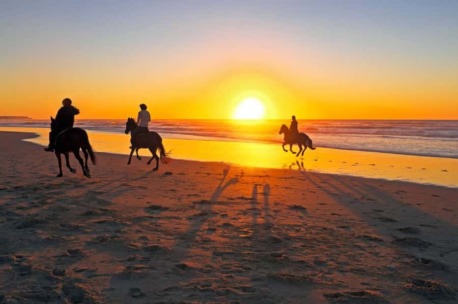 Casablanca: Beach Horseback Riding with Hotel Transfers - Price and Value: Why $46 Can Work for a Casablanca Day