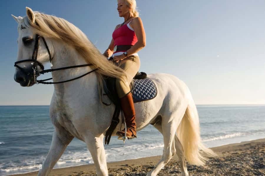 Casablanca: Beach Horseback Riding with Hotel Transfers - Who This Tour Suits, and Who Should Skip It