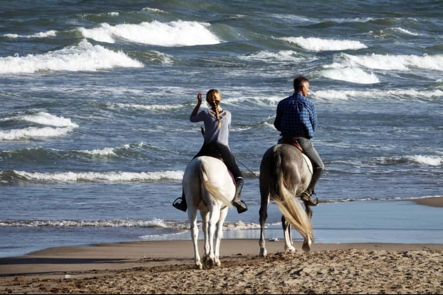 Casablanca: Beach Horseback Riding with Hotel Transfers - Hotel Pickup to the Stables: Comfort, Wi-Fi, and the Drive Time to Expect
