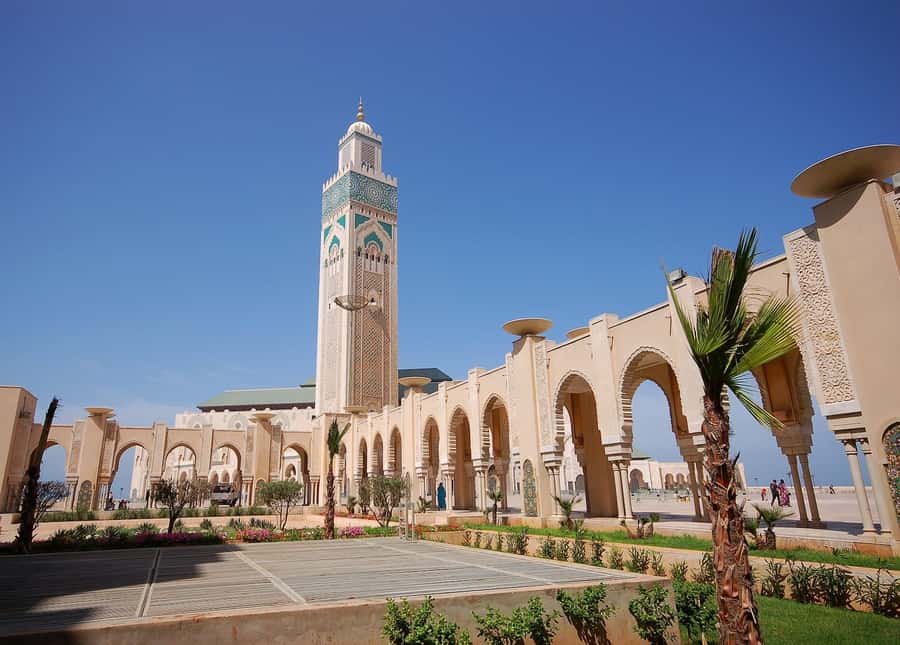 Casablanca Day Tour from Marrakech and Big Mosque Visit - Why Casablanca feels like a different Morocco