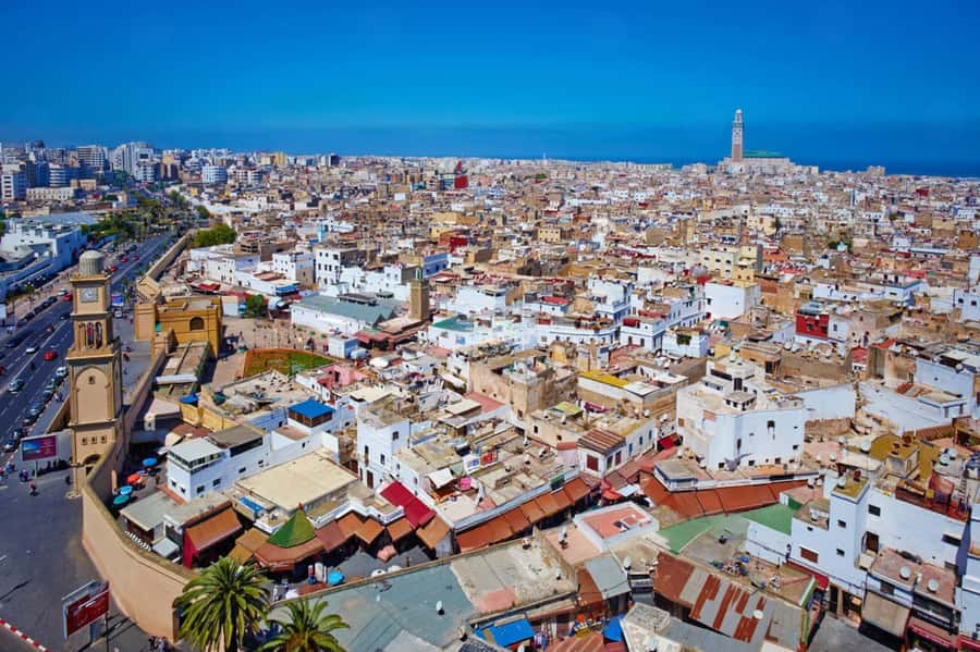 Casablanca Half Day City Tour with Professional local Guide - Old Medina walking: where you learn the city’s rhythm fast