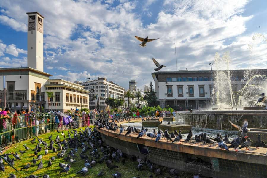 Casablanca Half Day City Tour with Professional local Guide - Quartier Habous: Moroccan-French style plus a real shopping window