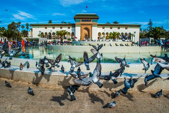 Casablanca Half-day guided tour - How Mohammed V Square fits the Casablanca skyline story