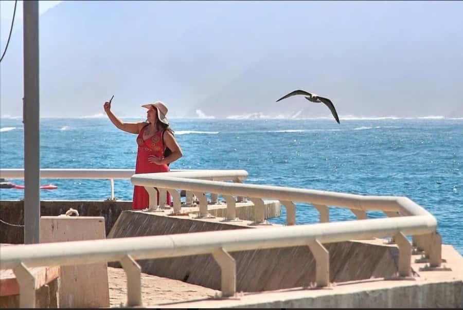 Casablanca: Private Guided Tour with lunch - Price and value for $155 per person