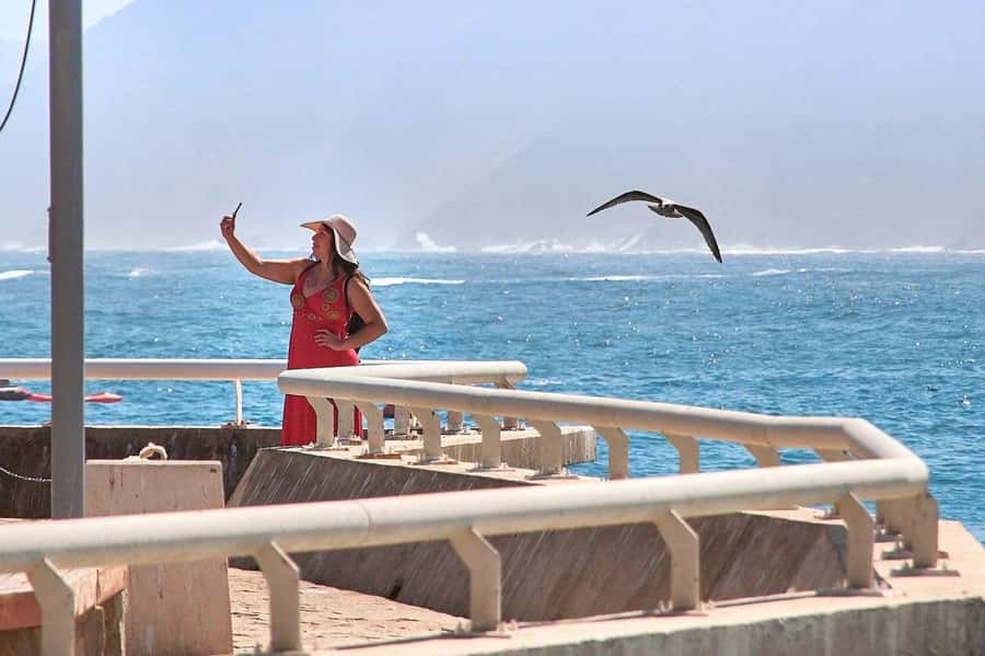Casablanca: Private Guided Tour - Hassan II Mosque: the main event, with the right timing