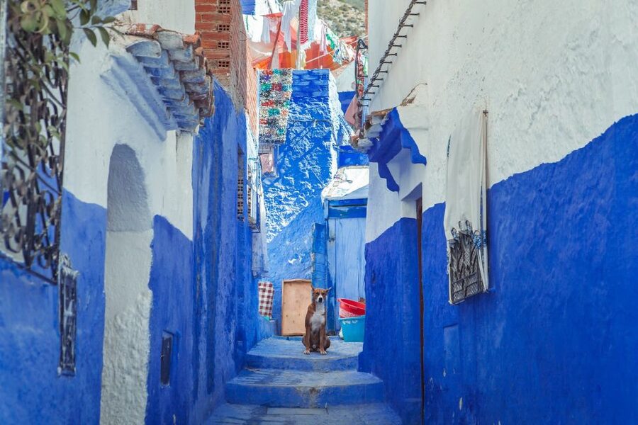 Chefchaouen Day Trip from Fez (Shared Group Tour) - Timing Reality Check: A 12-Hour Day, With a Peak Window in Town