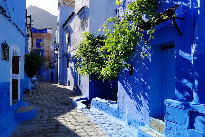 Chefchaouen private full day excursion & panoramic of Tangier - Price and Value: What You’re Paying For at $132.60